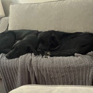 Meet your Posher, Linda